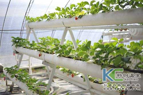 浙江新東陽建設集團有限公司